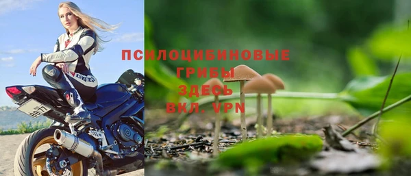 таблы Кодинск