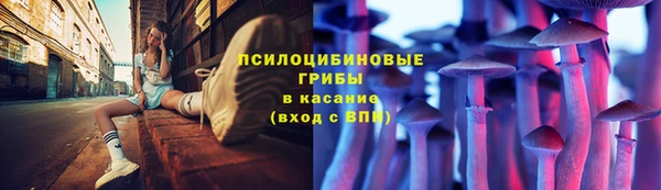 мескалин Козловка