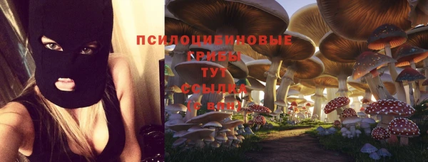 таблы Кодинск