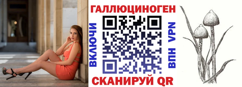 Галлюциногенные грибы MAGIC MUSHROOMS  Купить закладки  Жиздра 