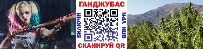 Купить закладки Жиздра Каннабис планчик